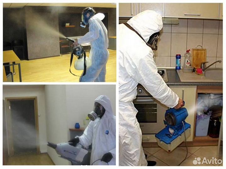 Уничтожение клопов блох муравьев клещей тараканов