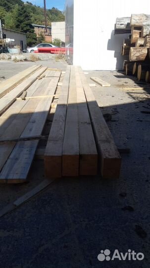 Лес кругляк