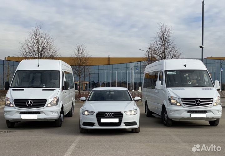 Аренда/заказ/развозка микроавтобус, автобус