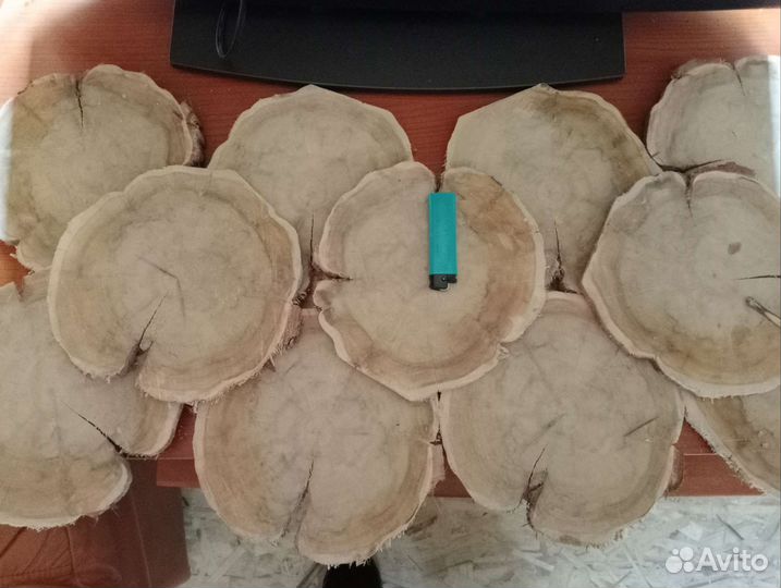 Спилы можжевельника