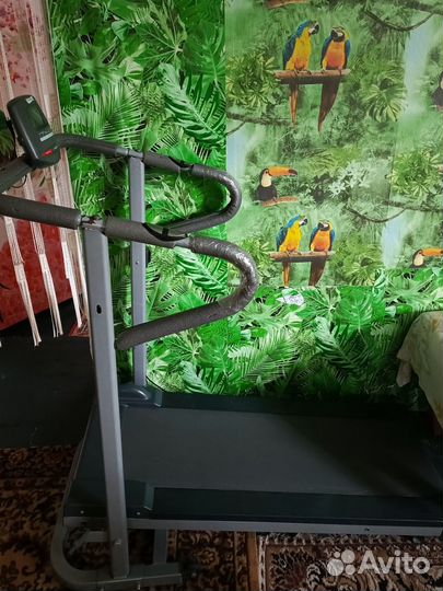 Беговая дорожка