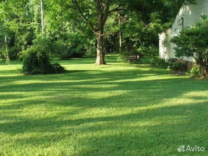 Семена газона элитного