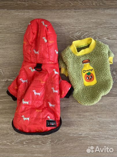 Одежда для собак