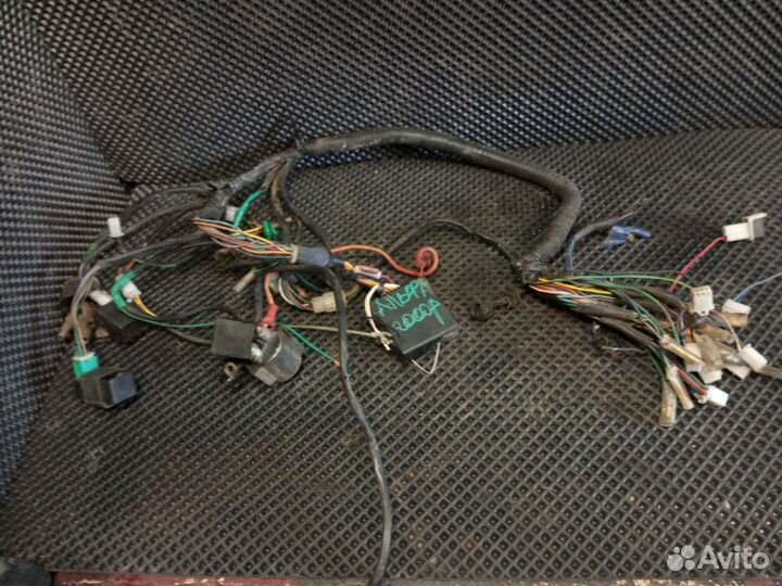 Коса проводки alpha