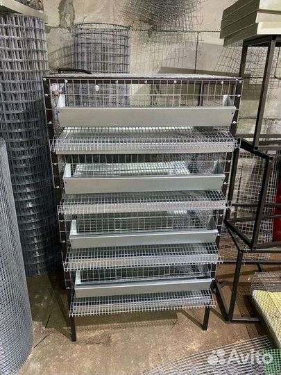Клетка для перепелов новая