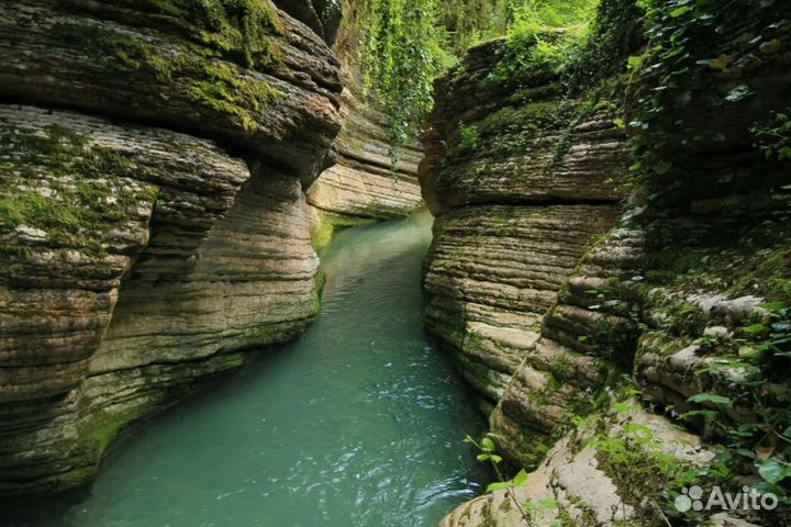 Тур путевка в Абхазию на 7 дней завтрак