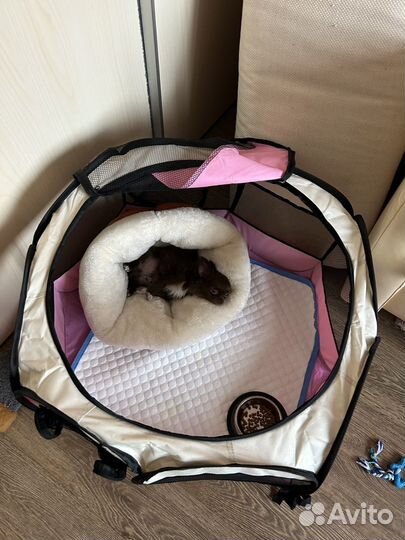 Вольер для щенков