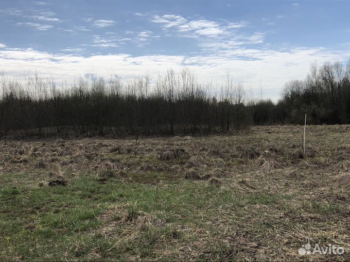 Приму грунт бесплатно или с небольшой доплатой