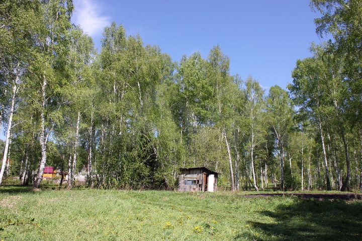 Участок 16,5 сот. (СНТ, ДНП)