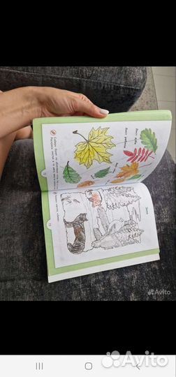 Зеленая тропинка