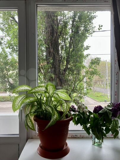 3-к. квартира, 63 м², 2/5 эт.