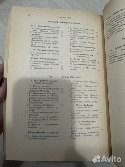 Книги Брэм Жизнь животных