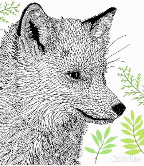 Набор огромных Раскрасок-Антистресс