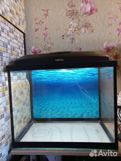 Аквариум