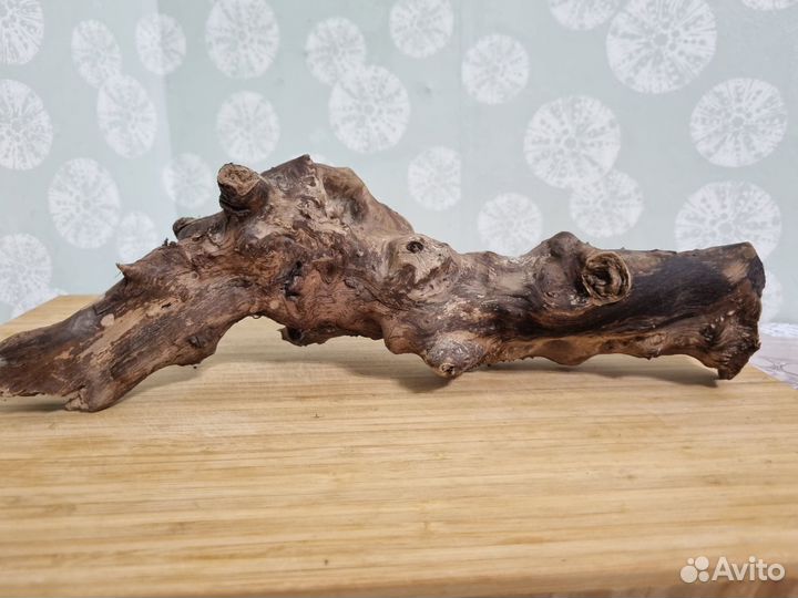 Коряги для аквариума. Террариум