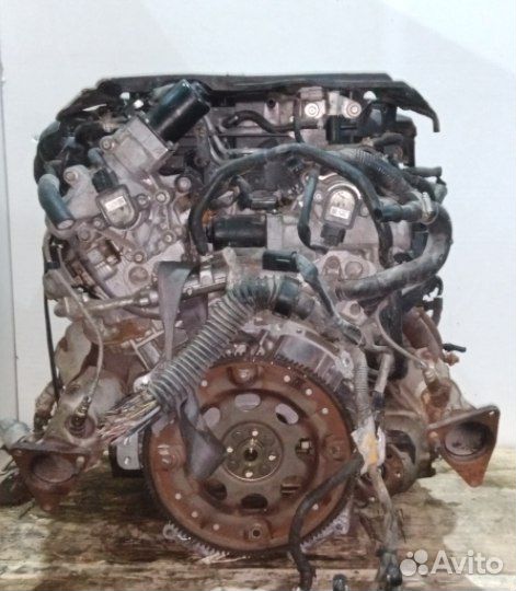 Контрактный двигатель Infinity VQ37VHR 3.7