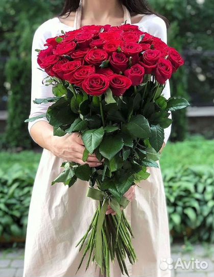 Розы Букеты Цветы Розы 31 101 151 201 Доставка