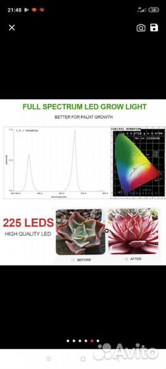 Фито светильник, лампа полного спектра света