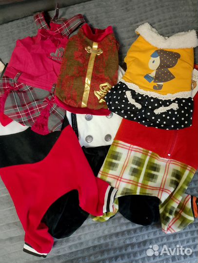 Костюмы для собак маленьких и средних пород