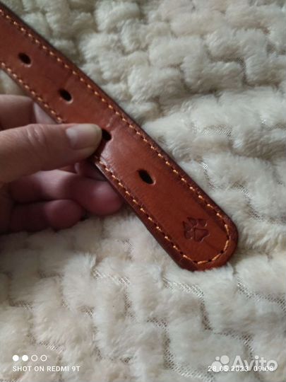 Кожаный ошейник для крупных собак