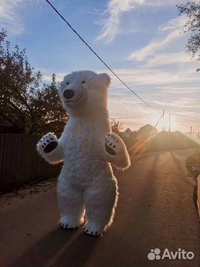 Белый мишка поздравление