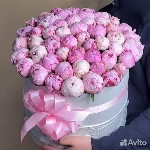 Букет Пионов / 51 пионы в коробке с доставкой