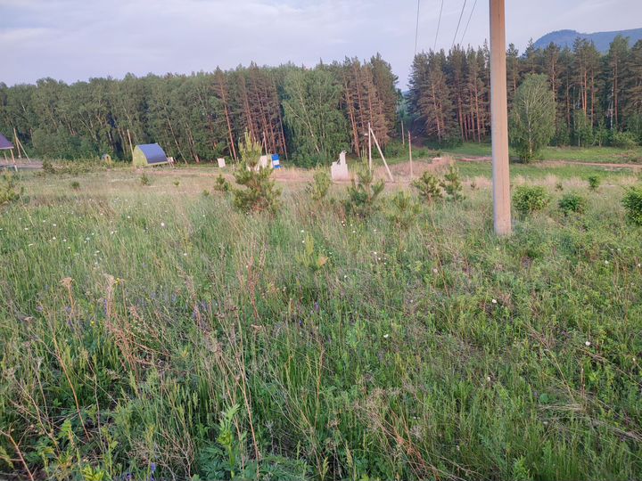 Участок 8,1 сот. (СНТ, ДНП)