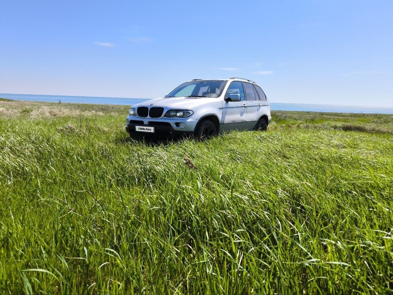 BMW X5: фото владельца
