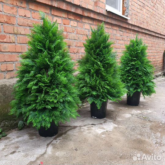 Туя искусственная, можжевельник, деревья