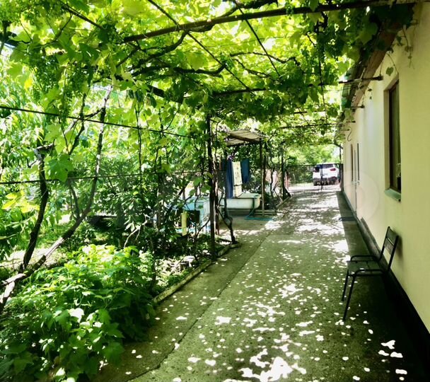 Комната 15 м² в 1-к., 1/2 эт.