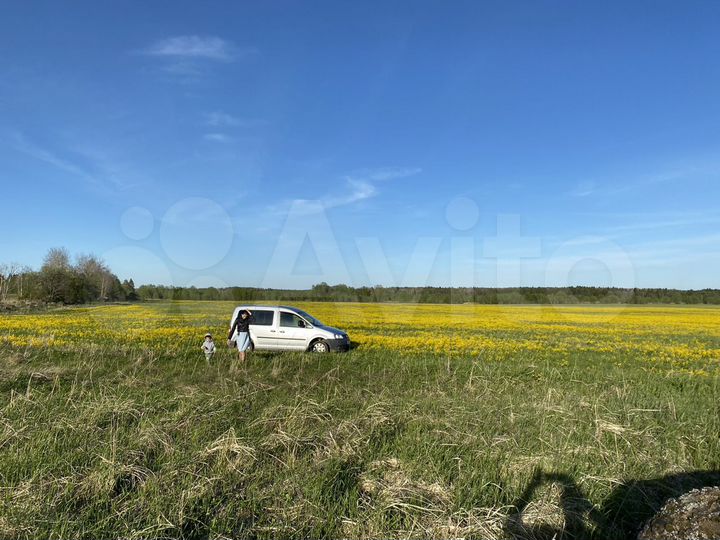 Участок 100 сот. (СНТ, ДНП)