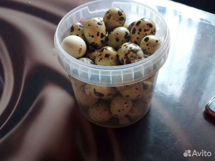 Яйца перепелиные домашние