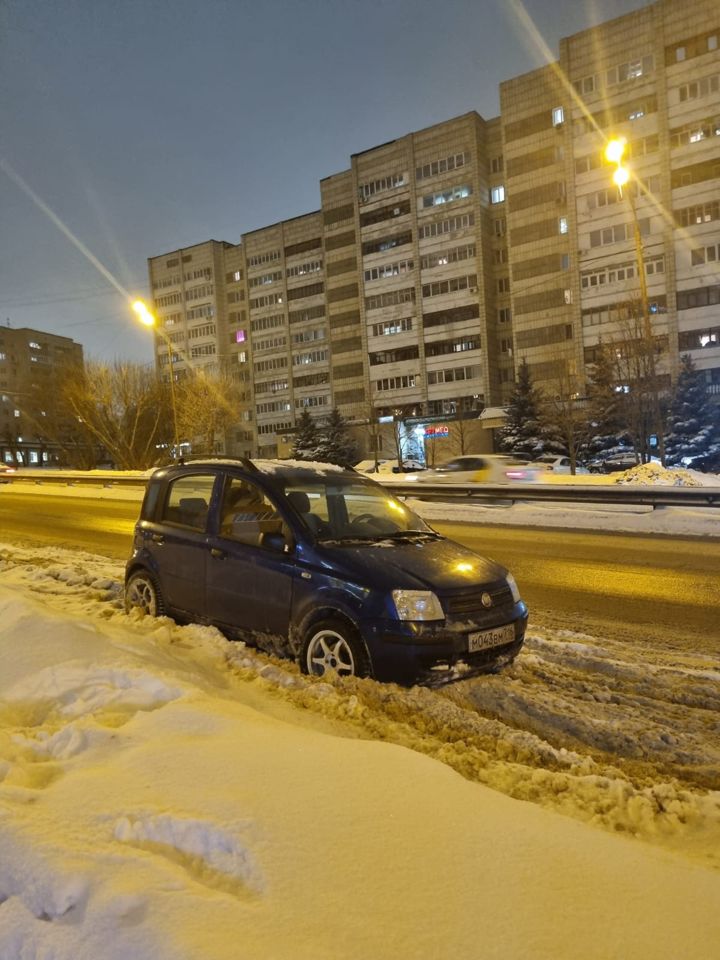 FIAT Panda: фото владельца