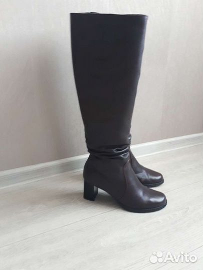 Сапоги осень весна женские