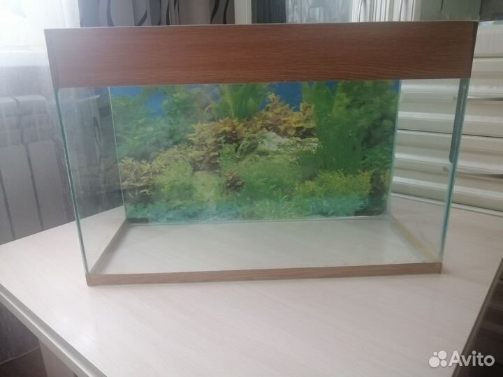 Аквариум на 60 литров