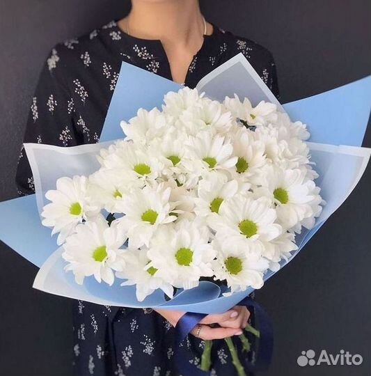 Хризантема Доставка цветов