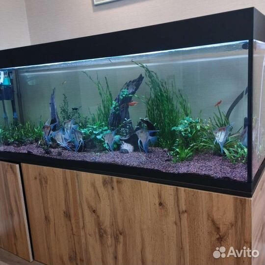 Аквариум с тумбой 600 литров