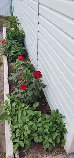 Дом 85 м² на участке 8 сот.