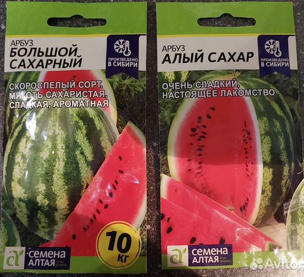 Рассада огурцов, кабачков, арбузов