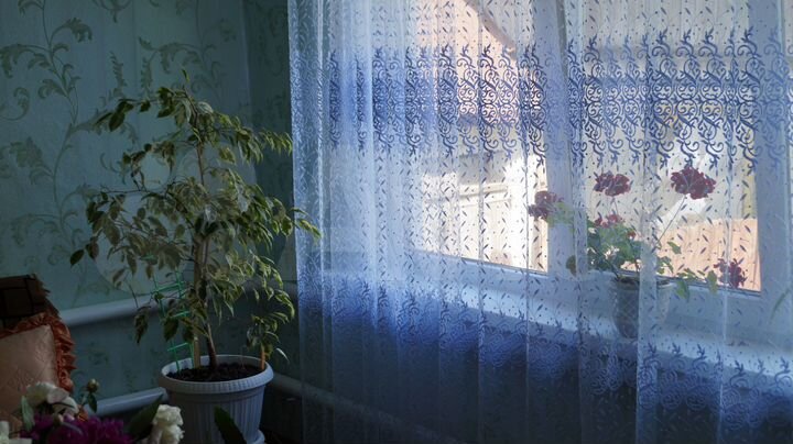 Дом 50 м² на участке 15 сот.