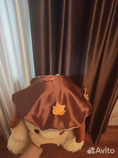 Шапка гриба