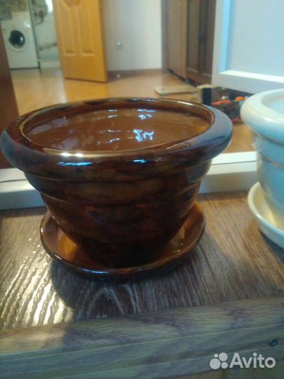 Горшки для цветов и растения