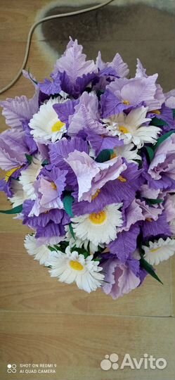 Цветы для дома