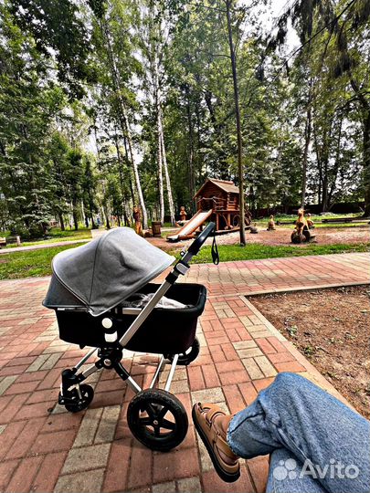 Коляска 2 в 1 Bugaboo Cameleon 3
