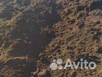 Земля, чернозем,торф доставка