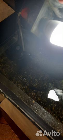 Аквариум с рыбками