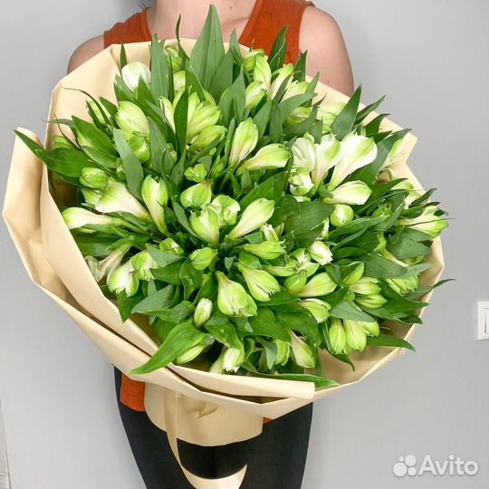 Альстромерия белая 15 шт