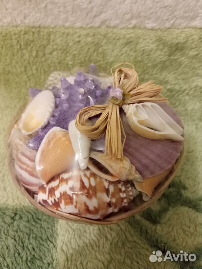 Набор ракушек