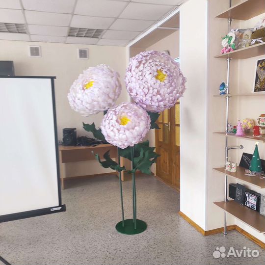 Ростовые пионы