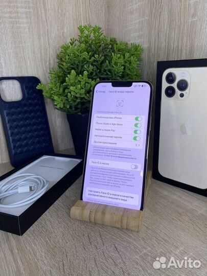 iPhone 13 Pro Max 256gb